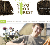 noyo food forest website