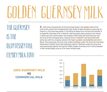 Golden Guernsey Cow / Raw Milk Brochure