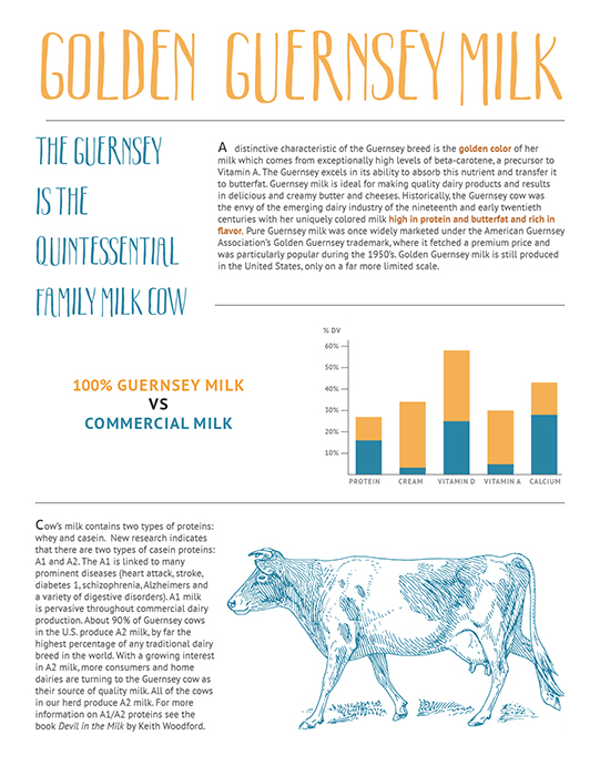 Golden Guernsey Cow / Raw Milk Brochure