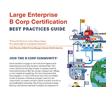 Large Enterprise B Corp Certification – Best Practices Guide